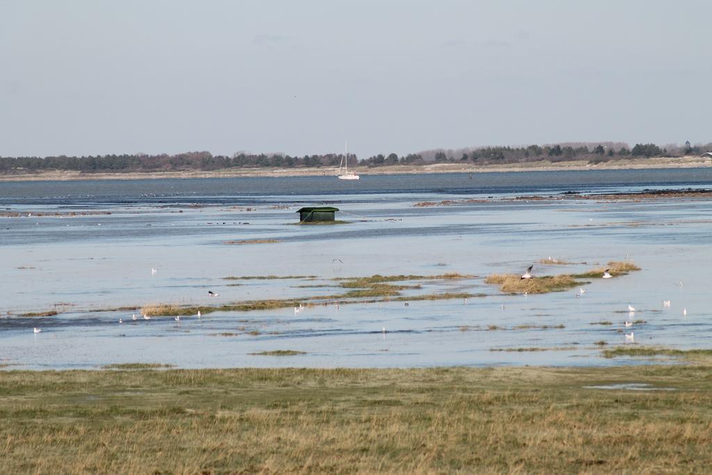 Camping De La Baie-Baie De Somme-Sites Et Paysages Pende Luaran gambar